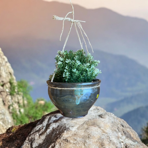 Brown Hanging Planter